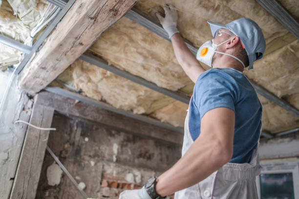 Best Cellulose Insulation in Kean University, NJ